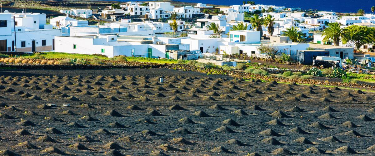 A coastal village with white buildings, palm trees, and a beach in the foreground.