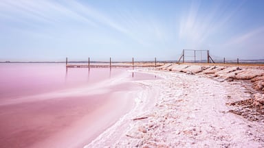Pink lagoon of Torrevieja: a unique natural phenomenon in Spain