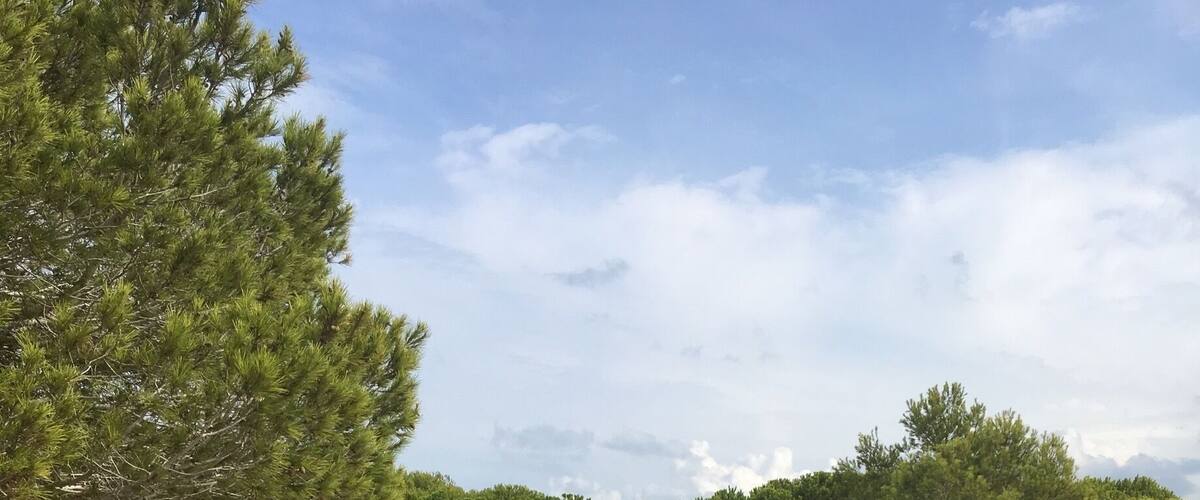 Very tranquil park off the beach at La Mata