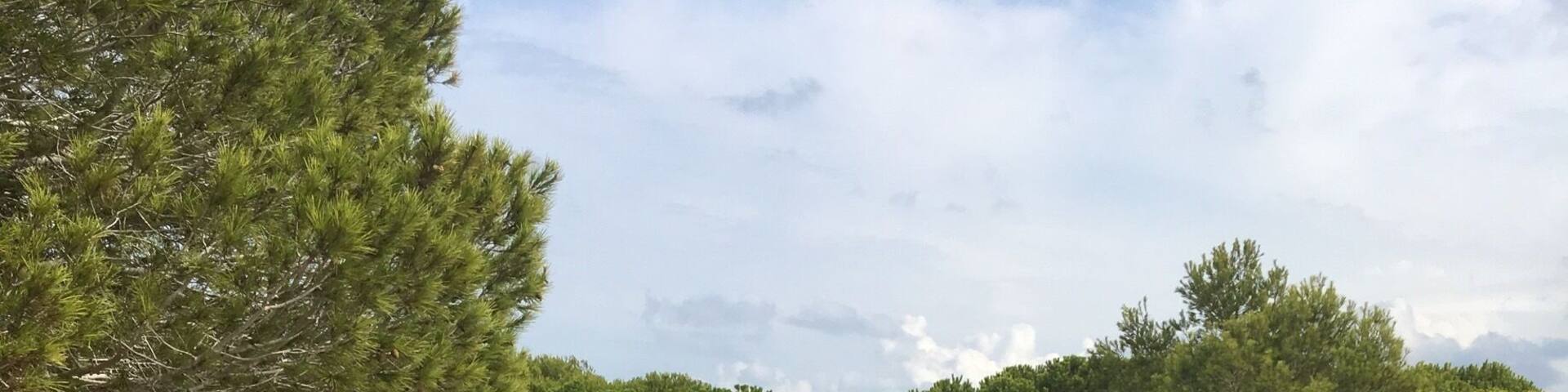 Very tranquil park off the beach at La Mata