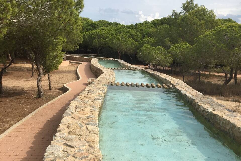 Un canal aux eaux claires, bordé de murs en pierre, entouré d’arbres et doté d’un chemin pavé en briques.
