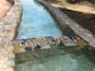 A clear water channel with a stone border and a mosaic with the word "TORREYES" at the bottom.