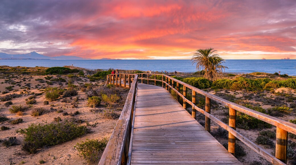 Elche beach in the Costa Blanca, Spain