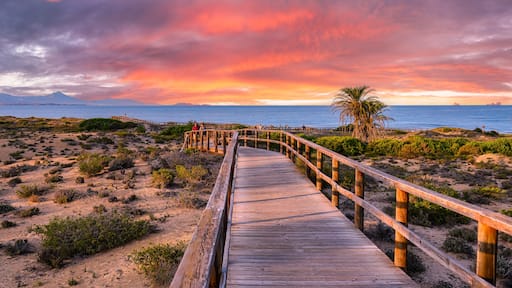 Torrevieja