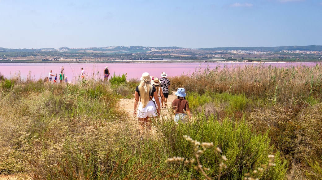 A group of people walking along a path with a pink lake in the background.