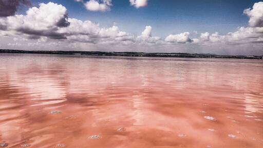 Valencian community Spain / Alicante
Take what is covering your sight and observe the beauty around.
#Nature