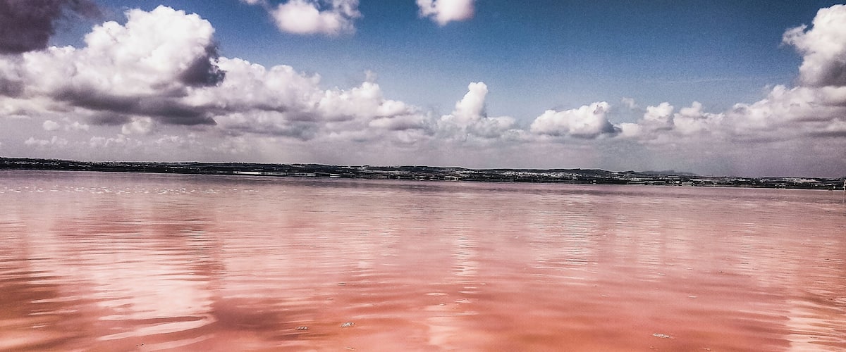 Valencian community Spain / Alicante
Take what is covering your sight and observe the beauty around.
#Nature