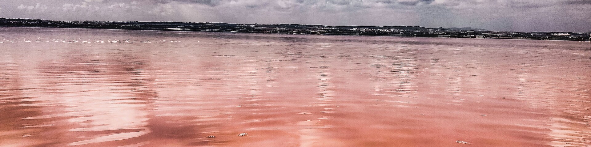 A beach with a pinkish hue, footprints, and a distant shoreline with buildings.