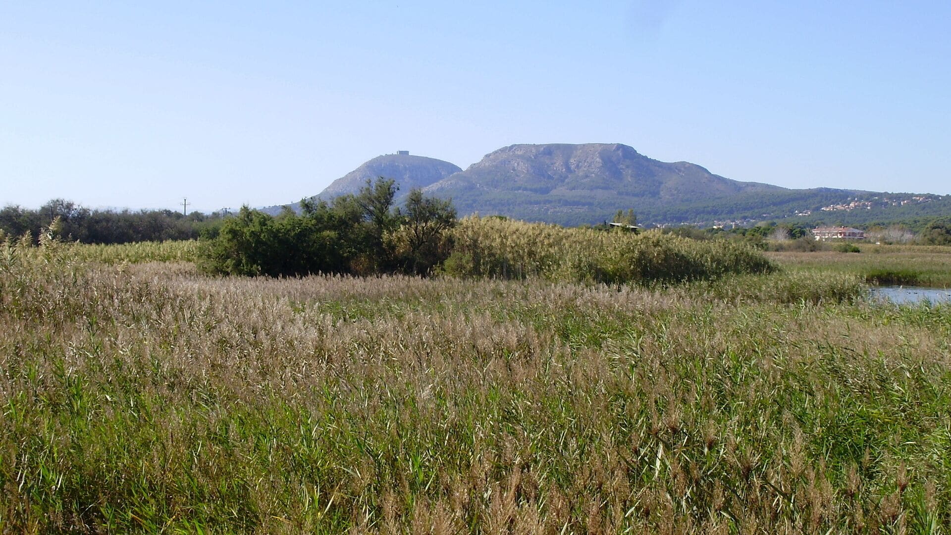 El Montgrí vist des de l'Estartit (Costa Brava)