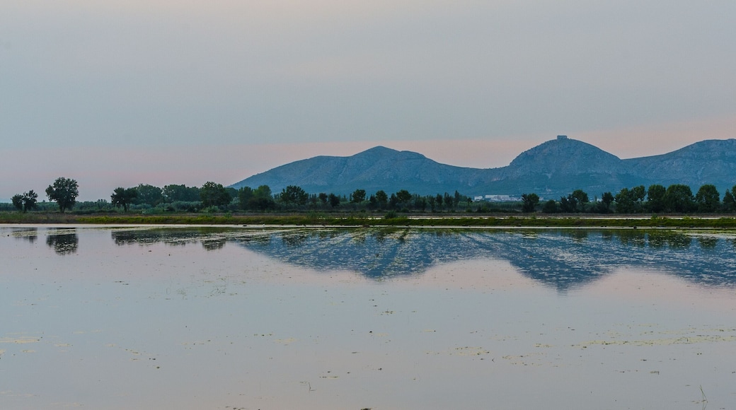 Los campos de cultivo del arroz inundados refeljan la bonita montaña del Montgrí durante la puesta de Sol de una tarde de verano. Pals, Baix Empordà, Girona, Cataluña, España.