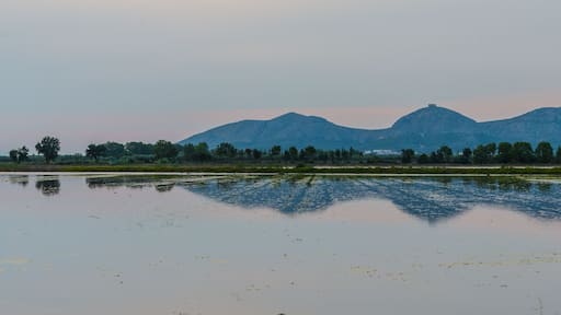Los campos de cultivo del arroz inundados refeljan la bonita montaña del Montgrí durante la puesta de Sol de una tarde de verano. Pals, Baix Empordà, Girona, Cataluña, España.
