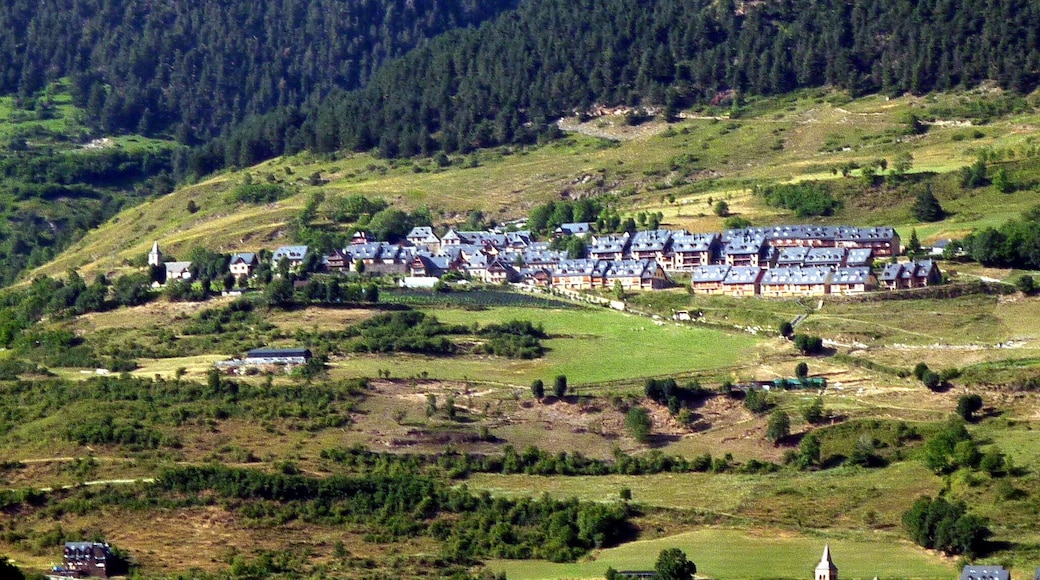 Mont (Vielha e Mijaran): des de Vielha