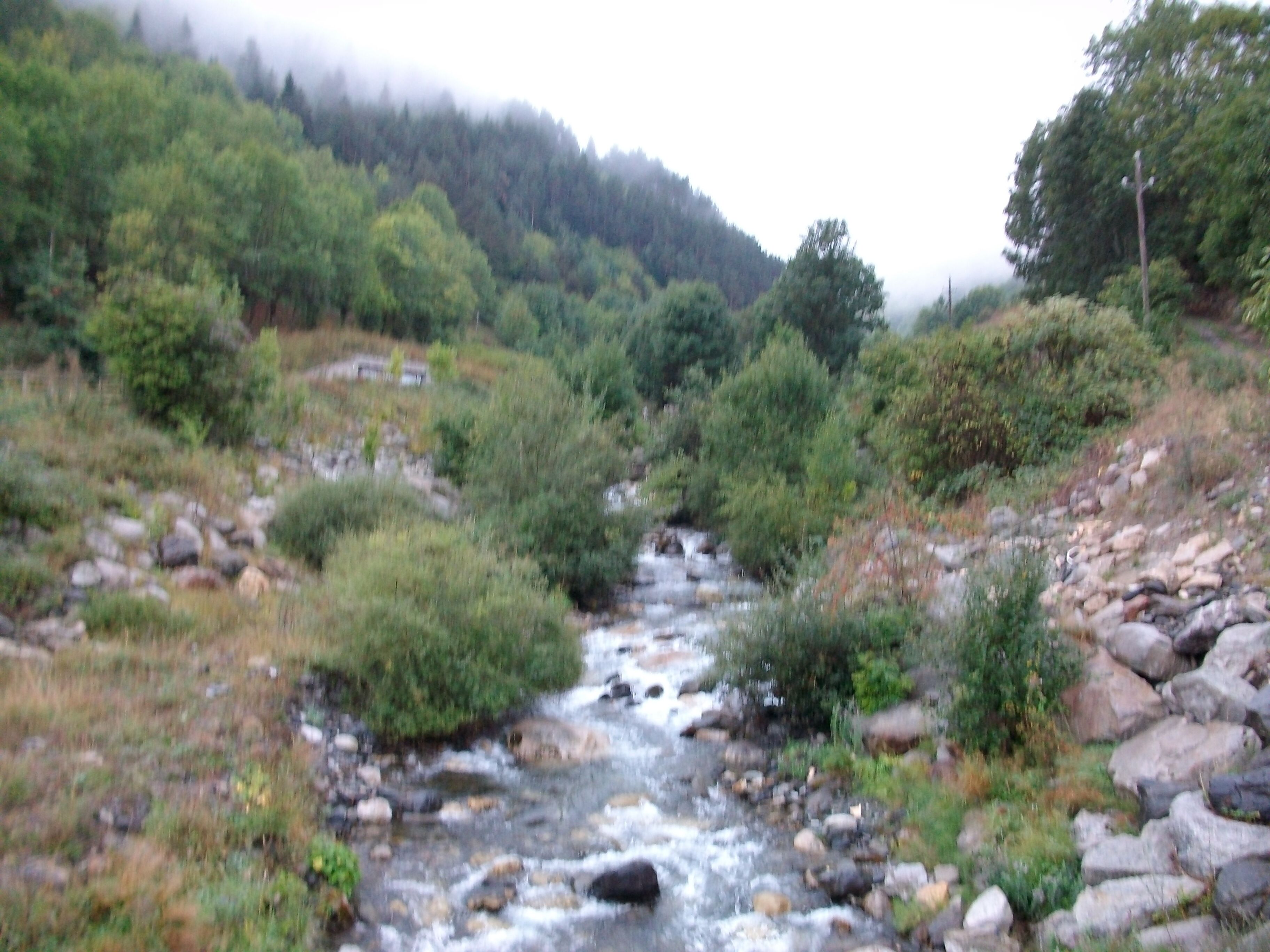 Rio Nere , afluente del Garona . ( Vielha ) Valle de Arán.
