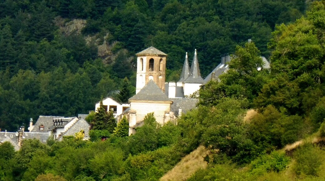 Arròs (Vielha e Mijaran)