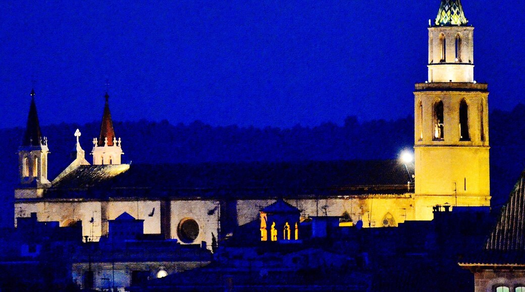 Basilica de Santa Maria, Vilafranca This is a photo of a building indexed in the Catalan heritage register as Bé Cultural d'Interès Local (BCIL) under the reference IPA-4918.