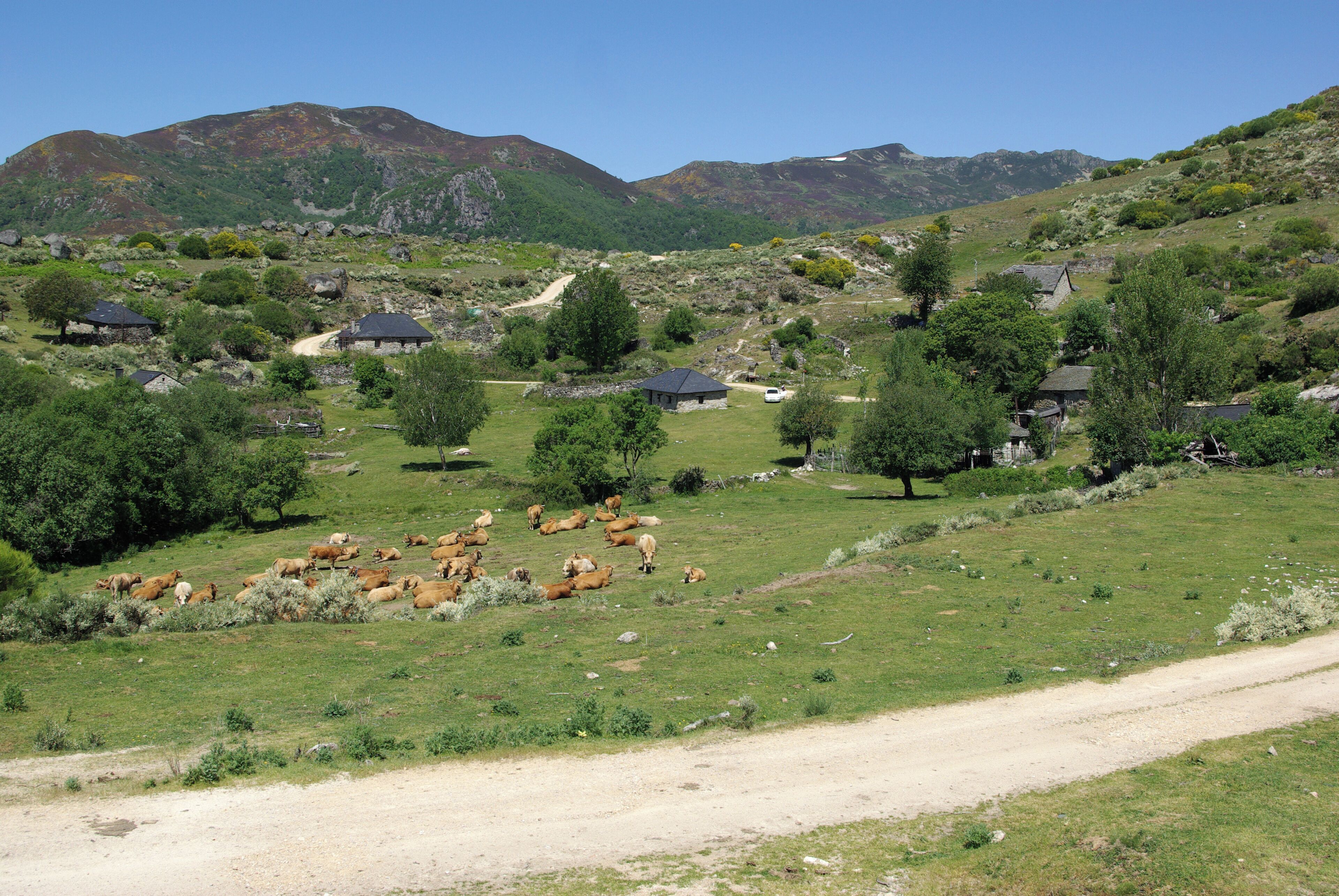 Campo del Agua, Villafranca del Bierzo (León, Spain)