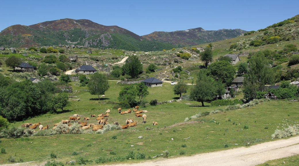 Campo del Agua, Villafranca del Bierzo (León, Spain)