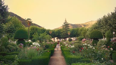 Jardín de la Alameda.