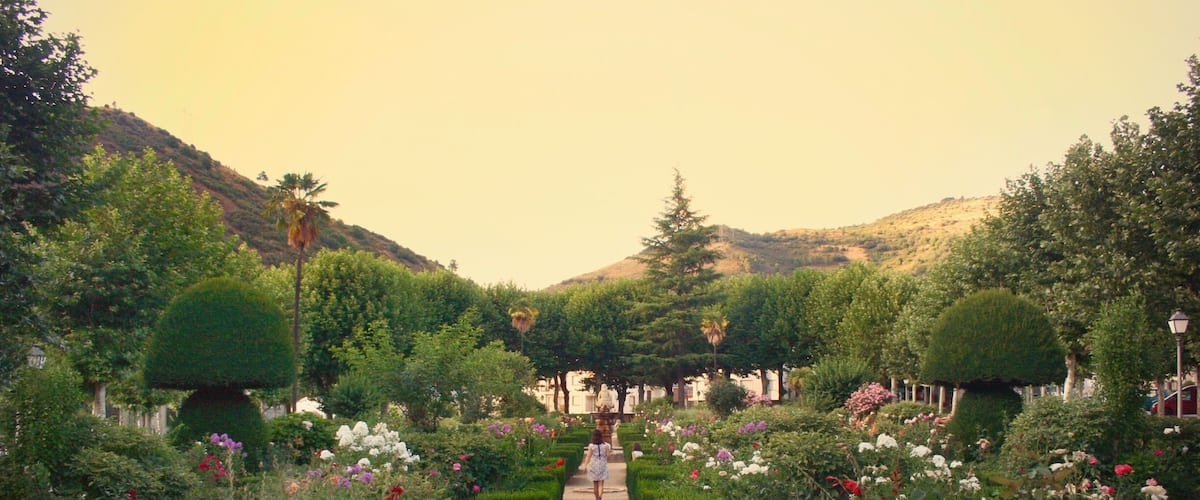 A garden with a central path, surrounded by neatly trimmed hedges and various flowering plants.
