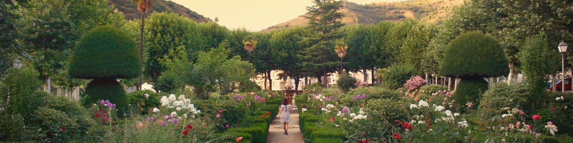 A garden with a central path, surrounded by neatly trimmed hedges and various flowering plants.