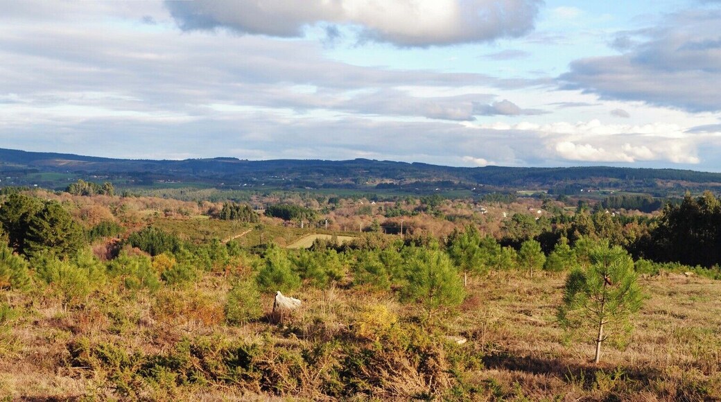 Coto dos Lagos. Vista Panorámica. Orientación NE