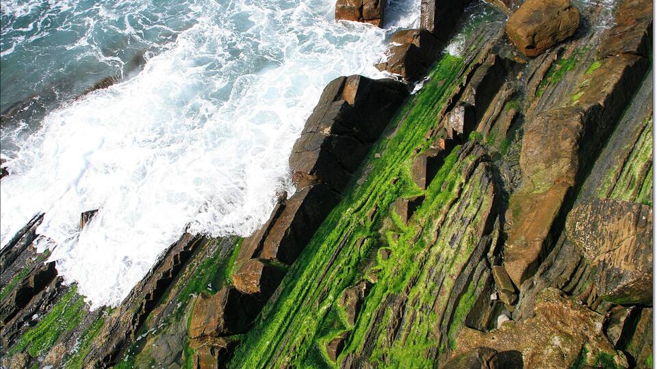 A rocky coastline with waves crashing against the rocks and green algae growing on the surfaces.