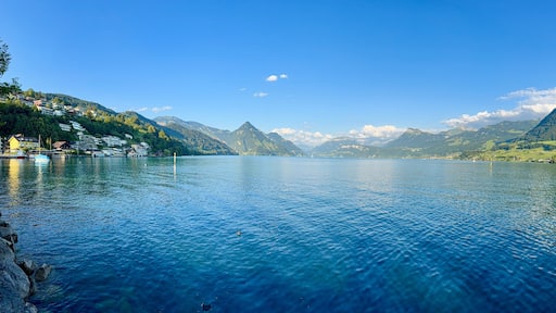 Buochs