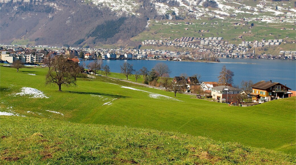 Buochs