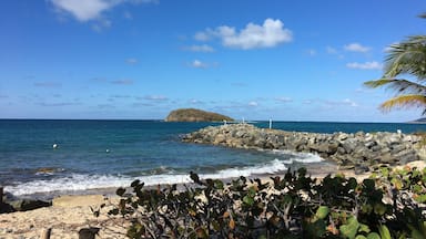 Beautiful experience in St Croix