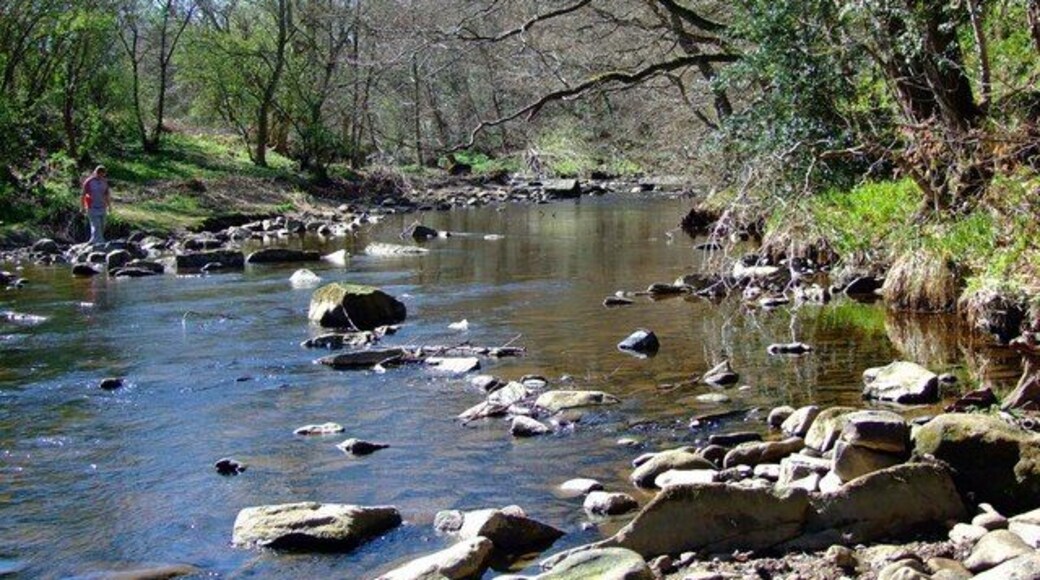 River Derwent Spring morning with rocks giving a lead into the focal point, with muted reflections giving a sense of tranquility.