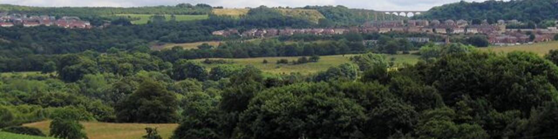 Hown's Gill Bridge. This now carries the C2C path. The housing to the left is The Grove and to the right Moorside leading to Castleside. Photograph taken from Mosswood on A68.