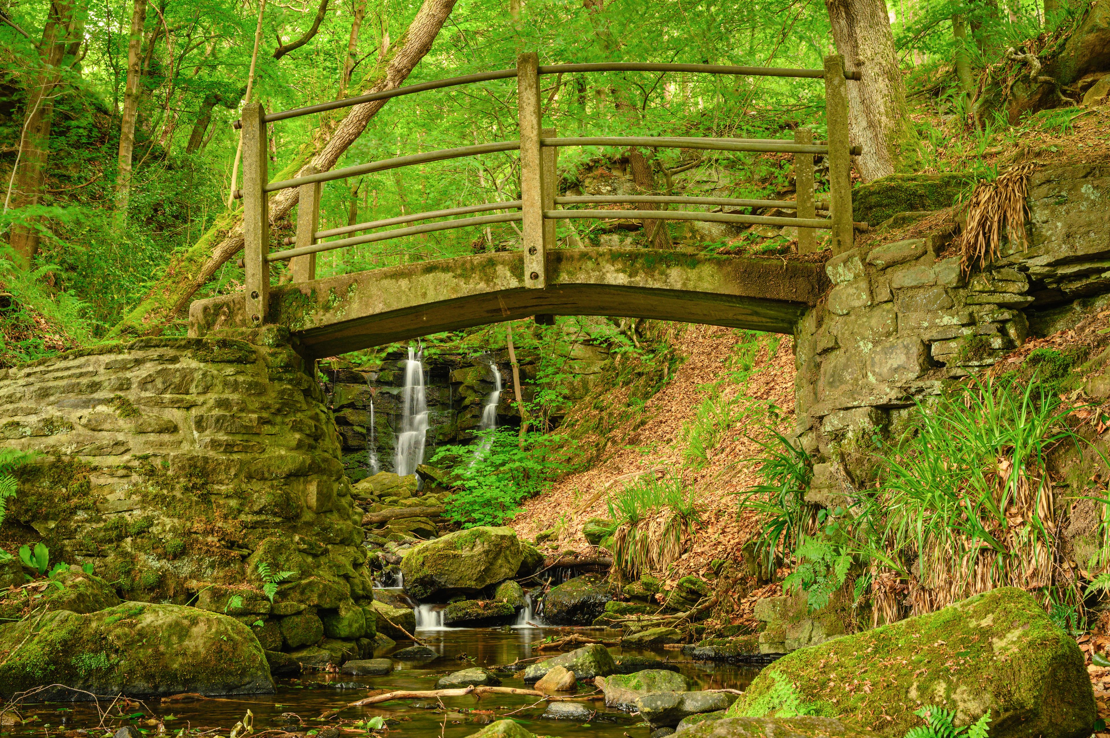 Allensford