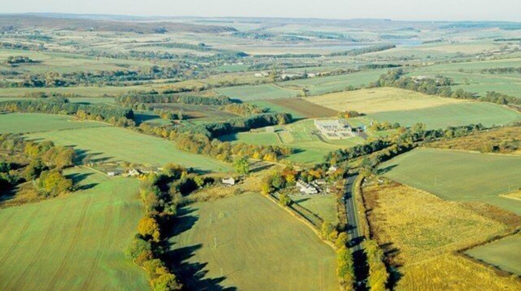 Aerial view of Mosswood Village and Water Works
