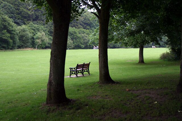 A park with a bench under trees.