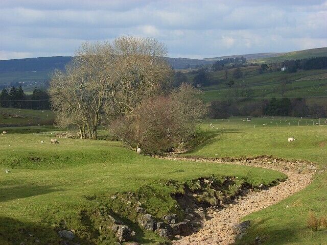 Pastures and dry burn, Rotherhope The lower stretch of Rotherhope Cleugh is one of a few limestone streams in the vicinity that are ordinarily dry at the surface. The names of two slightly higher up the South Tyne valley, Dry Burn and Little Dry Burn, gives their game away.