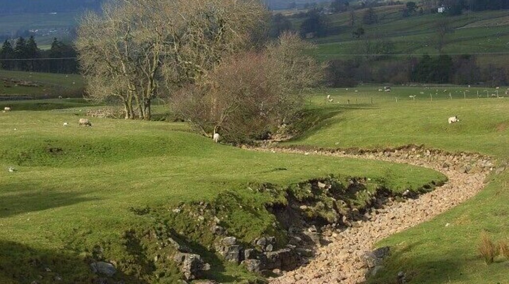 Pastures and dry burn, Rotherhope The lower stretch of Rotherhope Cleugh is one of a few limestone streams in the vicinity that are ordinarily dry at the surface. The names of two slightly higher up the South Tyne valley, Dry Burn and Little Dry Burn, gives their game away.