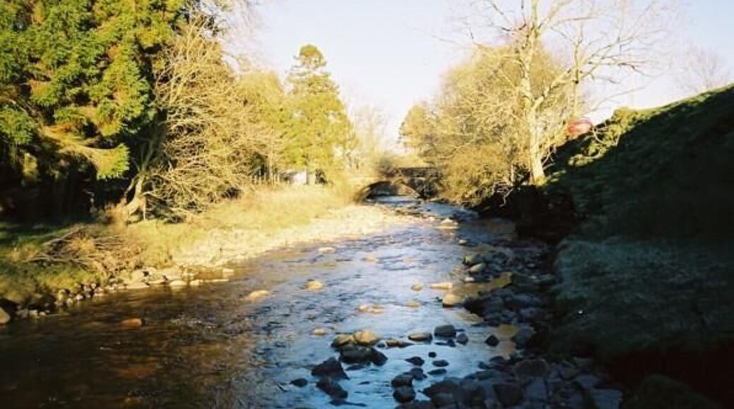 Black Burn. Just above Blackburn Bridge.