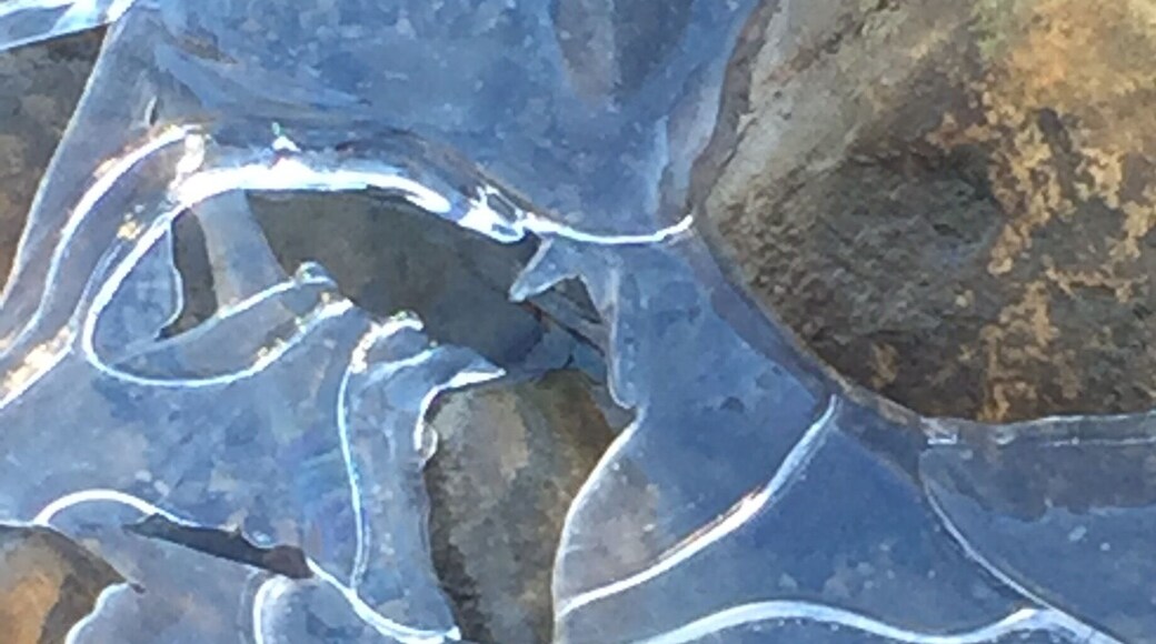 Ice lines on river #winterwonders