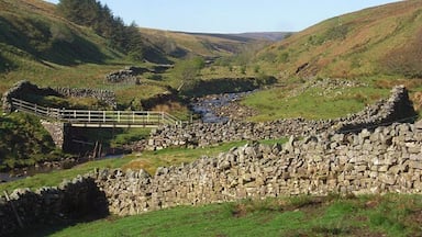 Uma ponte de pedra sobre um riacho em uma paisagem montanhosa com muros de pedra e vegetação.