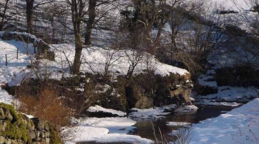 River in winter South Tyne at Garrigill.
