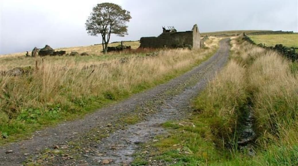 Ruin, Hardedge. The track is part of the Coast to Coast National Cycleway Route No. 7. View east from Whitehall towards Hardedge.