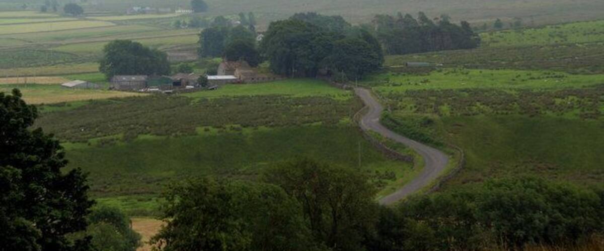 A winding country road through a rural landscape with fields, scattered trees, and a few buildings.