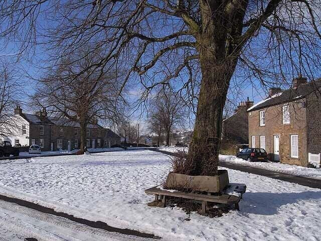 Rua coberta de neve com casas, uma árvore e um banco.