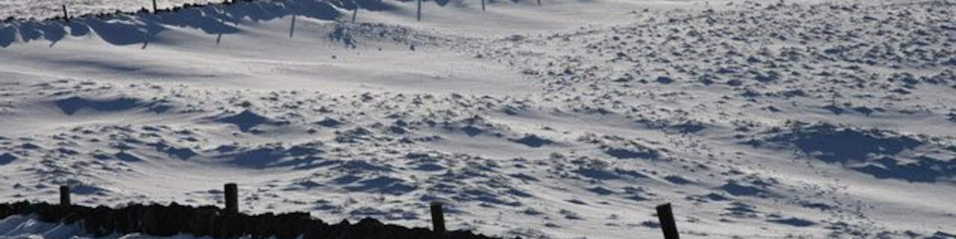 Paisaje nevado con un muro de piedra y una cerca de madera.