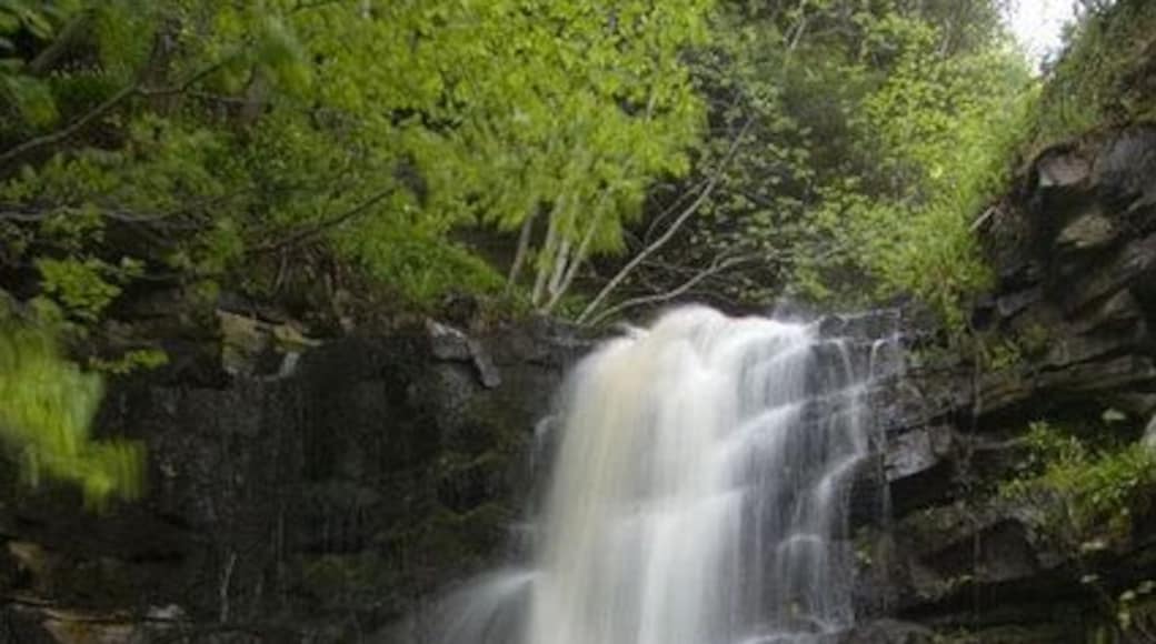Thortergill Force Set in a delightful woodland area Thortergill Force and additional smaller falls are a great alk to take. You have to pay an entrance fee at the small cafe shop but it is well worth it.