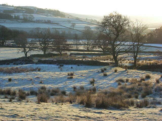 Pastures, Leadgate A frosty view towards the confluence of the South Tyne and Black Burn.