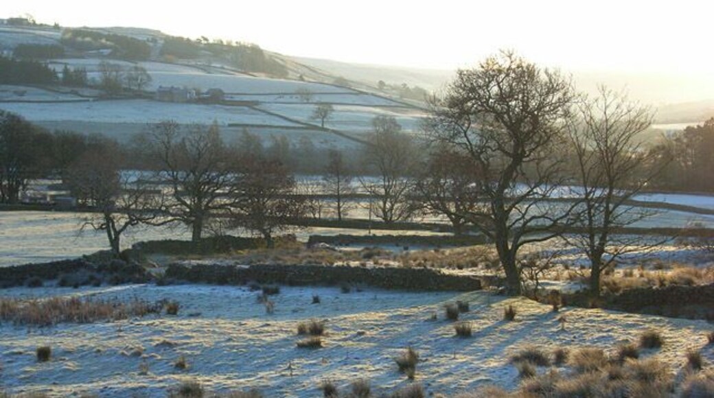 Pastures, Leadgate A frosty view towards the confluence of the South Tyne and Black Burn.