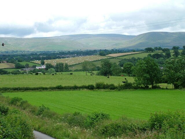 Nether Hoff and Bandley Wood