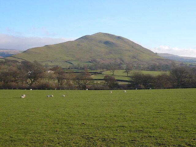 A green field with sheep and a hill in the background.