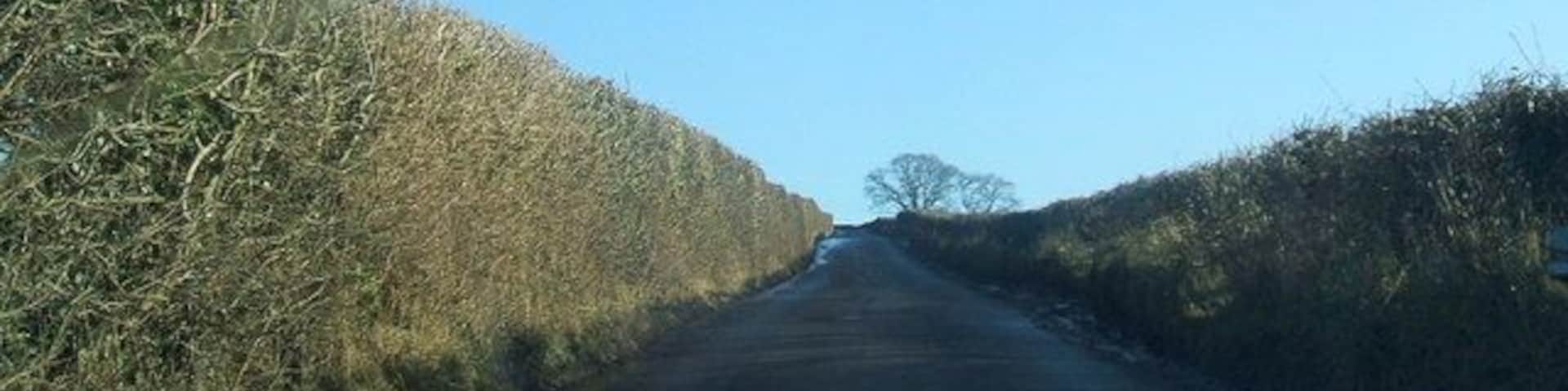 High hedges between Colby and Appleby
